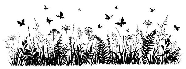 Vector illustration of Meadow herbs and flying butterflies. Flowering summer or spring field.
