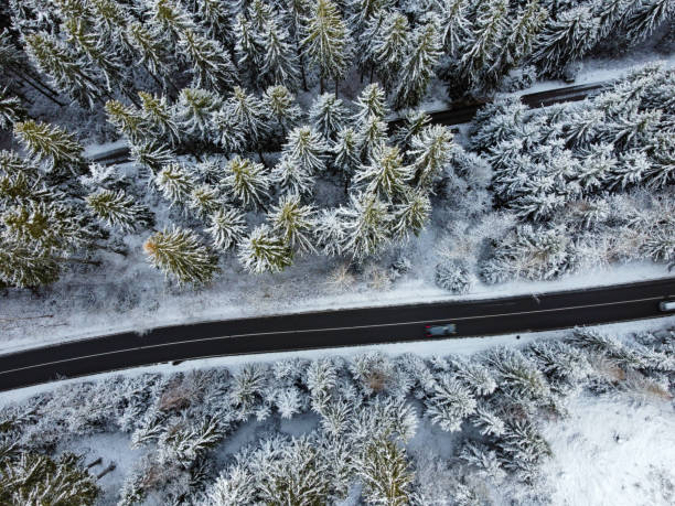 istock Road with forest in winter from above 1365162551