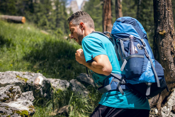 istock Man with a backpack hiking in the forest 1365163646