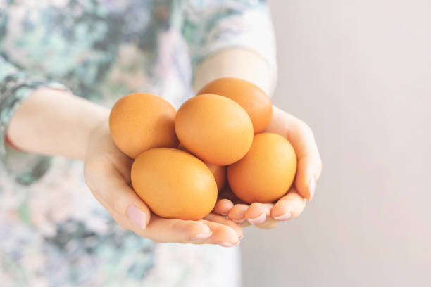 istock Happy Easter. Close up of female hands with natural easter eggs. Easter holiday concept. 1365164813
