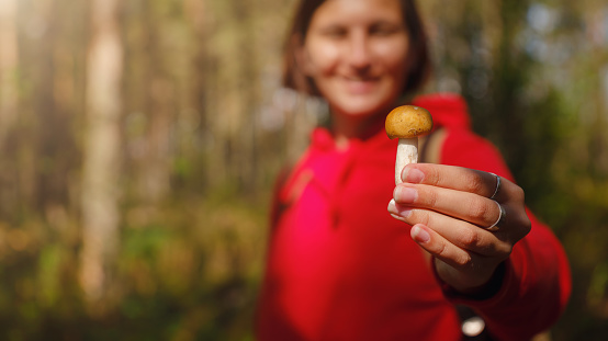 trip to central Russia, St. Petersburg, ecotrail Sestroretsky swamps. regenerative travel concept. Young woman hiking and camping in nature. woman holding mushroom in her hands, focus on the mushroom