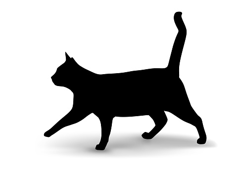Cat silhouette vector illustration of cats silhouette isolated on white background