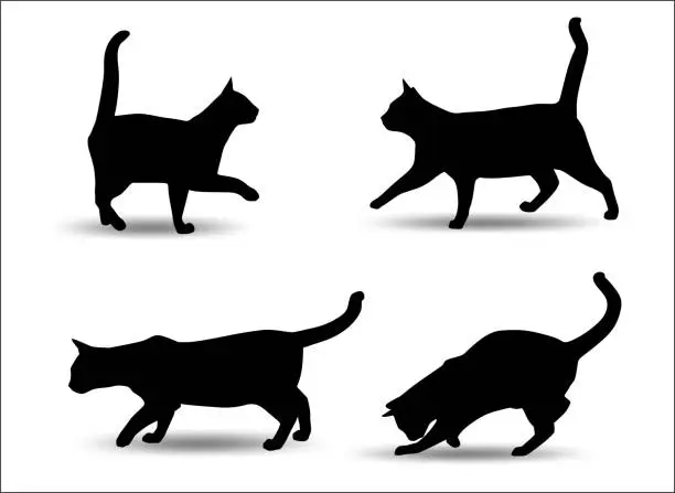 Vector illustration of Cat silhouette vector illustration.