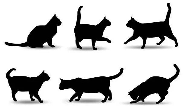 Vector illustration of Cat silhouette vector illustration.