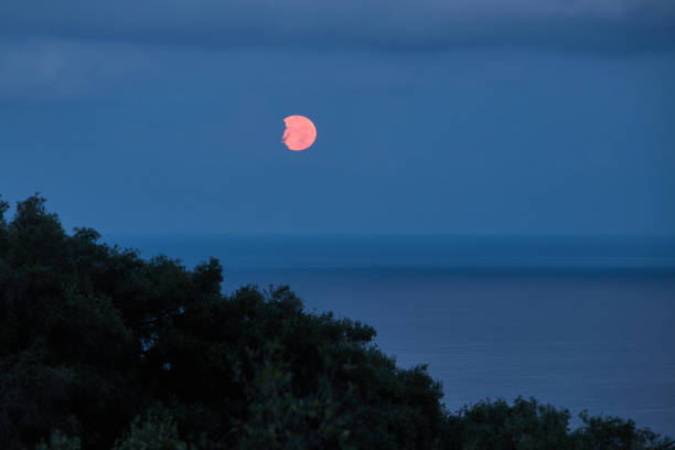 istock Blood moon over the sea 1365171093