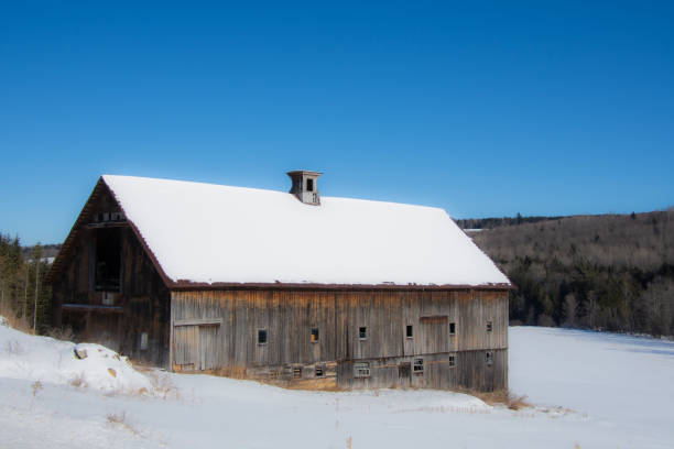 paisaje rural con granero en el invierno canadiense - cattle cow hill quebec fotografías e imágenes de stock