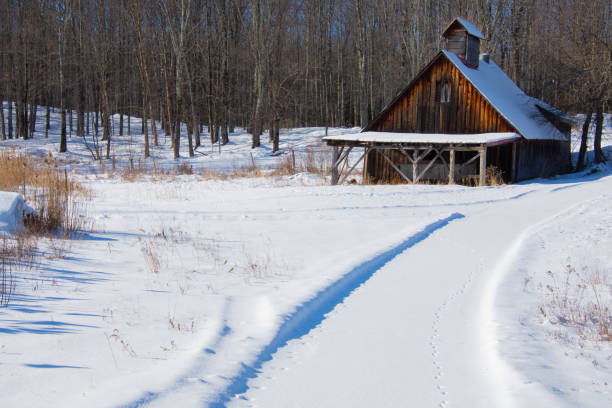 paisaje rural con granero en el invierno canadiense - cattle cow hill quebec fotografías e imágenes de stock