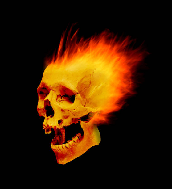 istock The skull is on fire on a black background. 1365173458