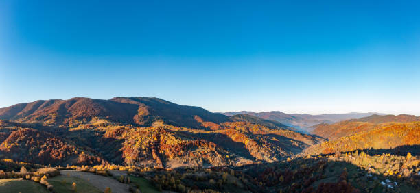 istock Bright sunrise at high mountains covered with autumn forest 1365173624