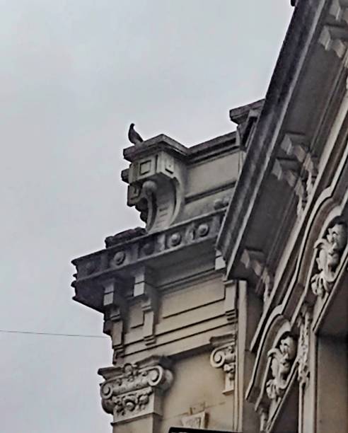 istock Old house and a pigeon 1365174118