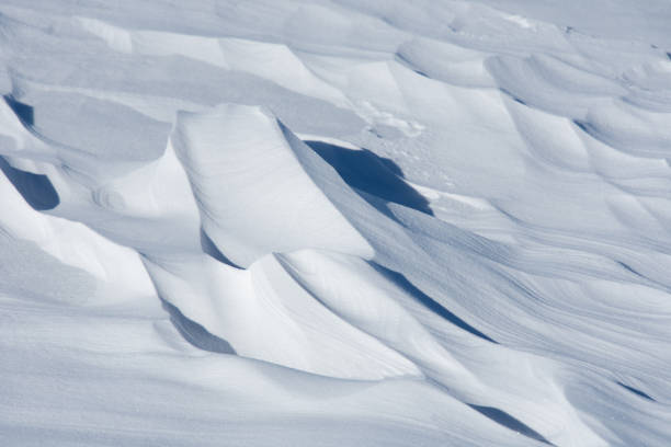istock Snowy desert in a field 1365175353