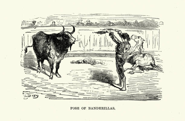 Bullfighting, matador facing a bull, pose of banderillas, Spain, Spanish 19th Century, Gustave Dore Vintage illustration of matador facing a bull, pose of banderillas, Spain, Spanish 19th Century. Gustave Dore. Colorfully decorated and barbed sticks used in bullfighting bullfighter stock illustrations