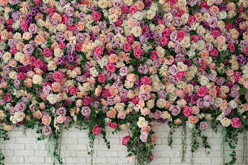 Wall with curly Flowers. Brick wall with beautiful flowers in room. Summer flowers on wall building. Beautiful decorative colorful roses and peonies on brick white wall. Interior wedding party decor.