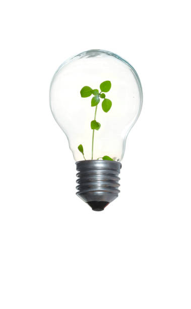 istock Light Bulb With Green Plant 1365182691