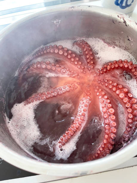 polpo bollente in acqua - red octopus foto e immagini stock