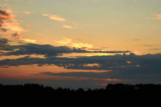 istock Dramatic sky on summer sunset. Beautiful clouds. Silhouette pines forest. 1365188167