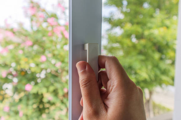 istock Hand hold mosquito net wire screen handle on house window 1365188281