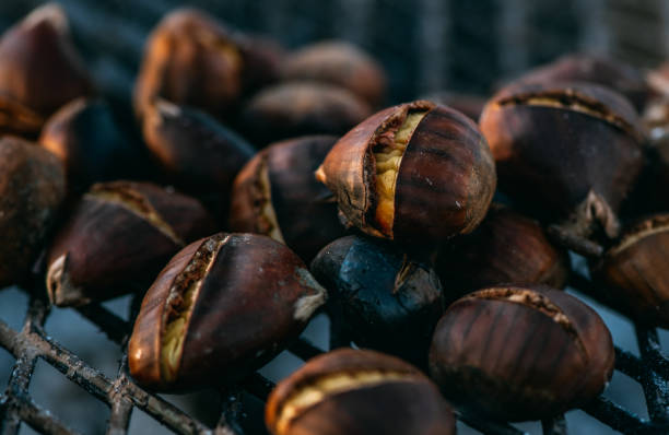 castañas asadas en la fogata - chestnut roasted heat roasted chestnut fotografías e imágenes de stock