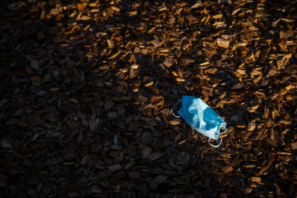 Coronavirus plastic waste environmental pollution. Disposable dirty face mask on ground, single use plastic trash on grass. How to dispose used medical masks right after coronavirus pandemic.