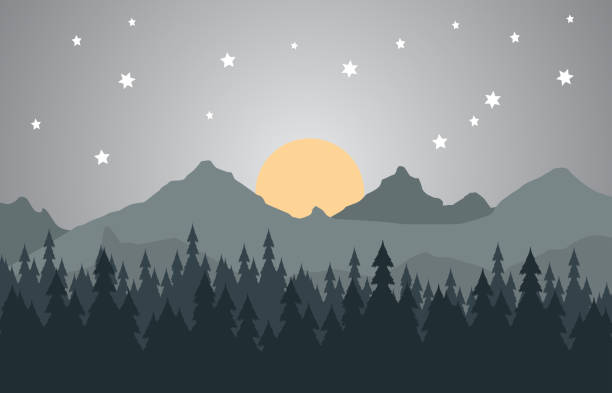 ilustrações de stock, clip art, desenhos animados e ícones de 3d illustration wallpaper night landscape. mountains and christmas forest trees and stars. - silhouette snow digitally generated image illustration and painting