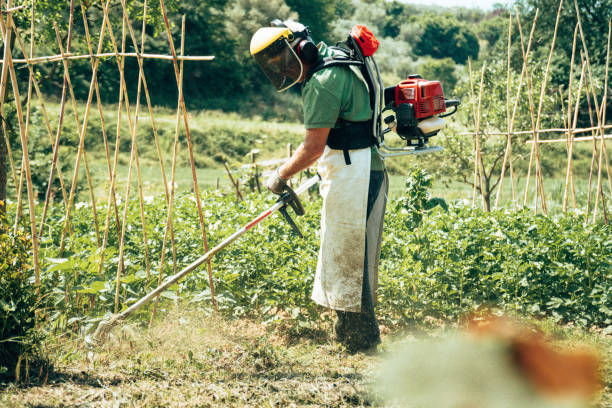 istock man using a grass trimmer in the countryside 1365191301