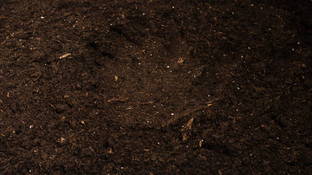istock Woman hand trace on a ground. 1365191838