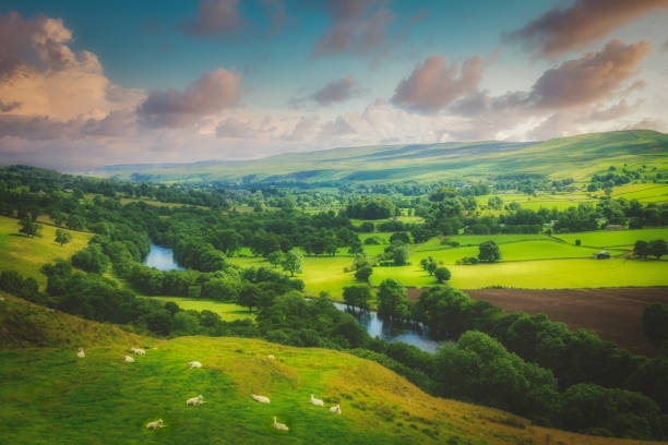 Meandering River making its way through lush green rural farmland in the warm early sunset. Meandering River making its way through lush green rural farmland in the warm early sunset. gloucestershire stock pictures, royalty-free photos & images