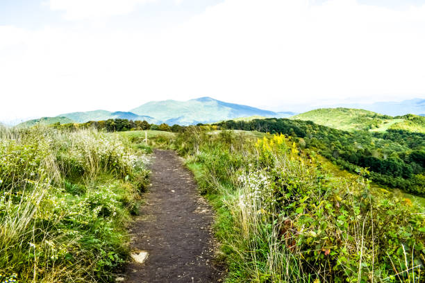 Path at the top of a mountain