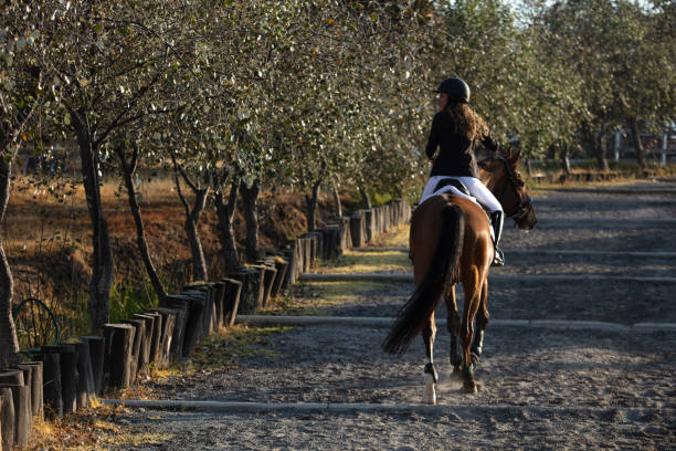 istock Young woman riding horse 1365192796