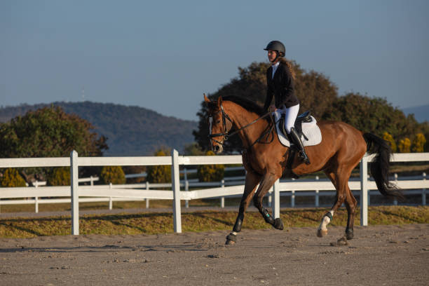 Young woman with curly hair riding horse in a equine field