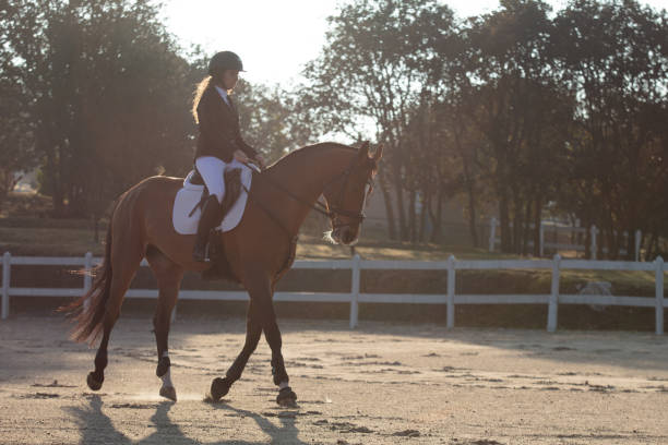 istock Young woman riding horse 1365192867