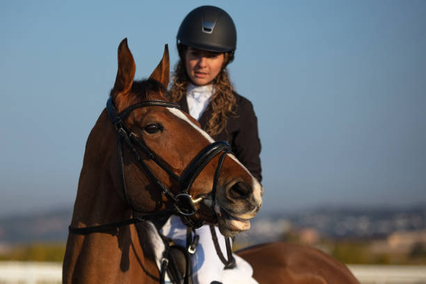 istock Young woman riding horse 1365192948