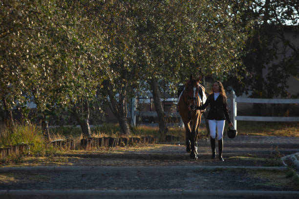 istock Young woman walking with her horse 1365193033