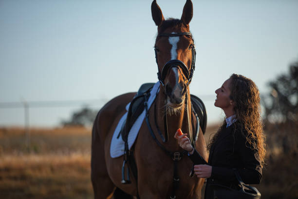 istock Young woman feeding her horse 1365193180