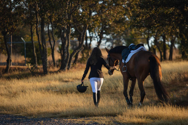 istock Young woman walking with her horse 1365194050