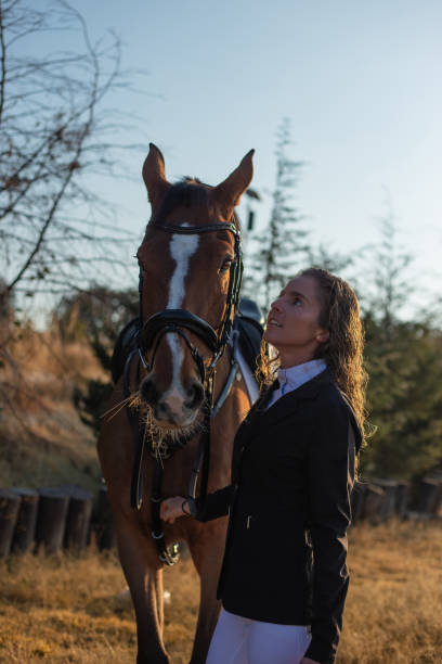 istock Young woman petting her horse 1365194199