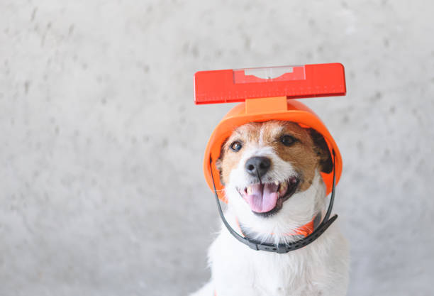 istock Skilful and competent worker balancing level tool on hard hat 1365195671