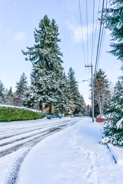 istock Snow On City Street 3 1365195711