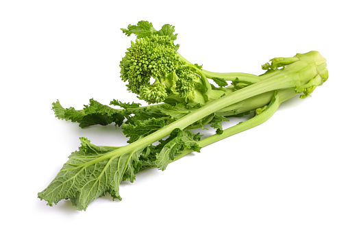 Fresh  rapini or broccoli rabe  isolated on white background