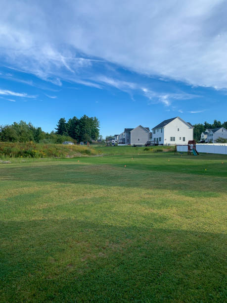 istock Houses and their backyards 1365196301