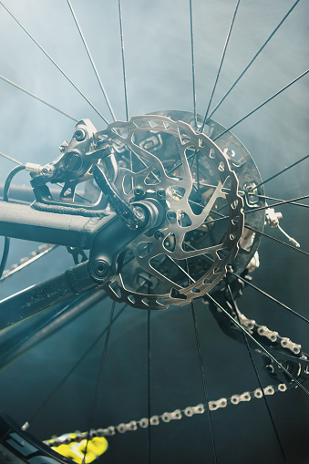 Bike wheel and disk brake rotor.