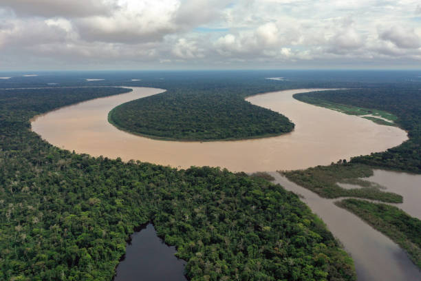 istock Bend in the Javari river in the Amazon rainforest 1365198047