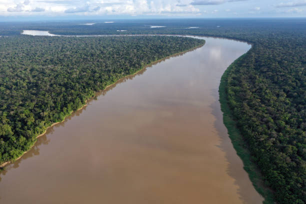 istock Javari river in the Amazon rainforest 1365198127