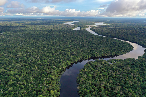 Río en el Amazonas photo