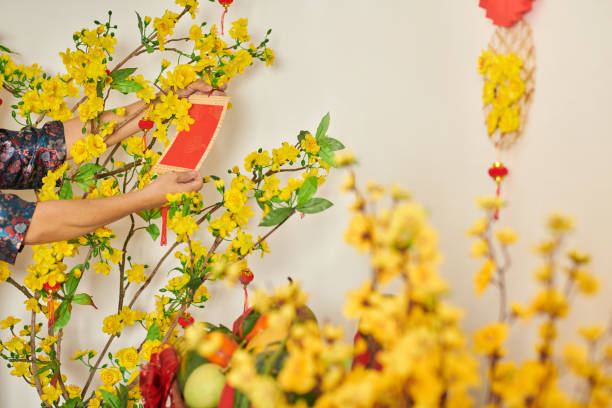 istock Woman Decorating Apricot Branches 1365198885