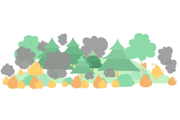 forest fire flat vector illustration. dangerous wildfire in taiga. burning  woodland. global warming, natural disaster. fir trees in flame and smoke in air. dry woods, pines in fire. - wildfire smoke 幅插畫檔、美工圖案、卡通及圖標