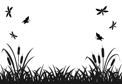 Black silhouette of marsh grass with flying insects, lake reed. Vector illustration of black bushes with butterflies and dragonflies on white background.