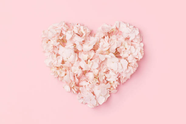 istock Heart from gentle hydrangea petals on pink background 1365200990