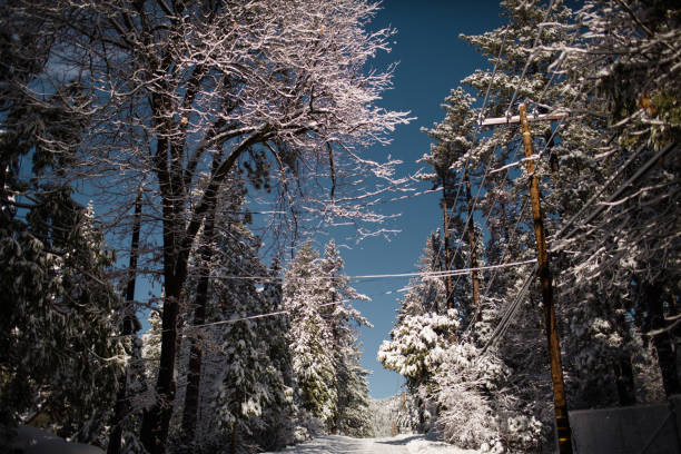 istock Snow Covered Street & Trees in Idyllwild 1365201135