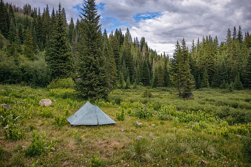Campsite in the Eagles Nest Wilderness, Colorado in United States, Colorado, Silverthorne